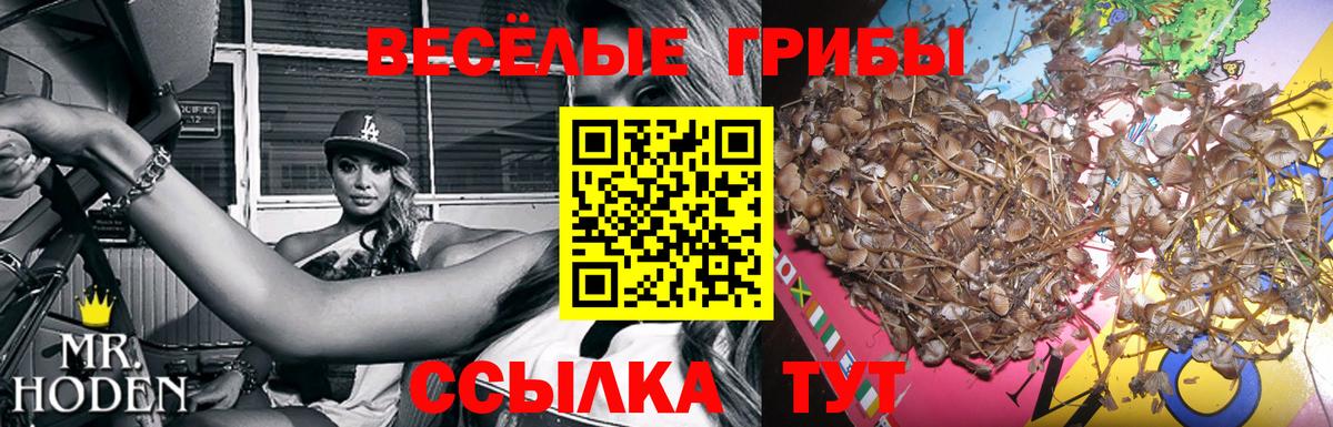 Галлюциногенные грибы прущие грибы Артёмовский